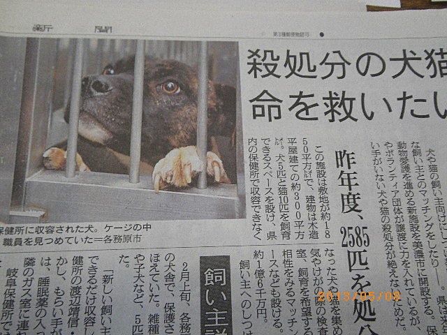 新聞記事より 犬や猫 ネズミのこと